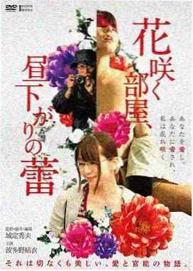 海贼王剧场版3 观影顺序建议